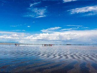 蘭州青海湖旅游報(bào)團(tuán)價(jià)格_蘭州青海湖自由行旅游團(tuán)_蘭州青海湖旅游要多少錢(qián)2021