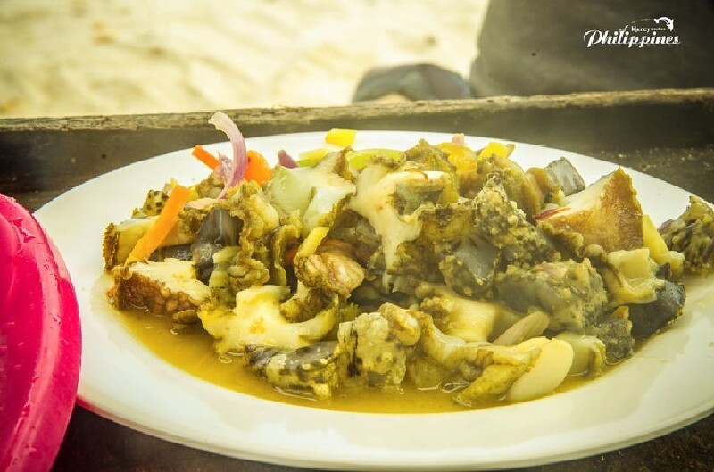 【2016、菲律宾】去个温暖的地方过寒冬