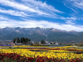 2021去云南香格里拉跟團多少錢_云南香格里拉旅游價格_云南香格里拉旅游大約多少錢
