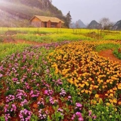 景点模块 