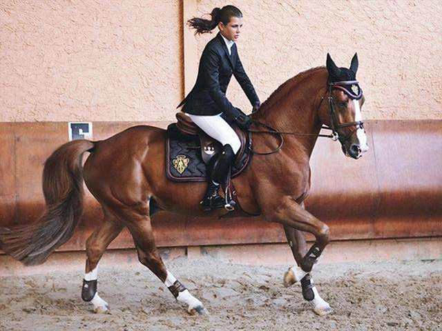 黑骑士骑术是将古典马术的精髓和现代马术融合统一的骑术表演.