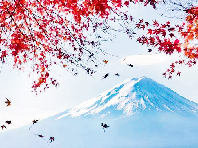-惠那峡-富士山-东京观漫天美食婆娑飞舞增游城市中国排行榜红叶十大图片