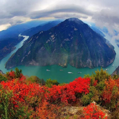 活动模块 