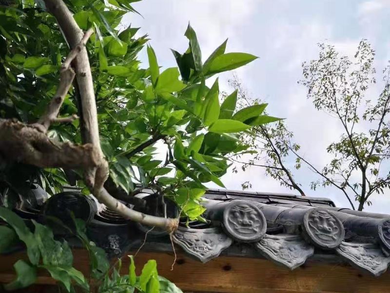 酒店大堂