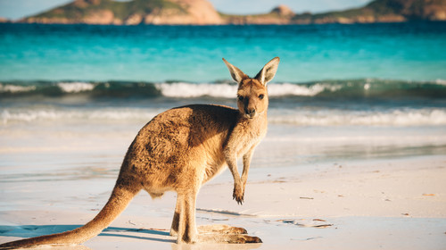 澳大利亚个人旅游签 全国受理无领区限制无需