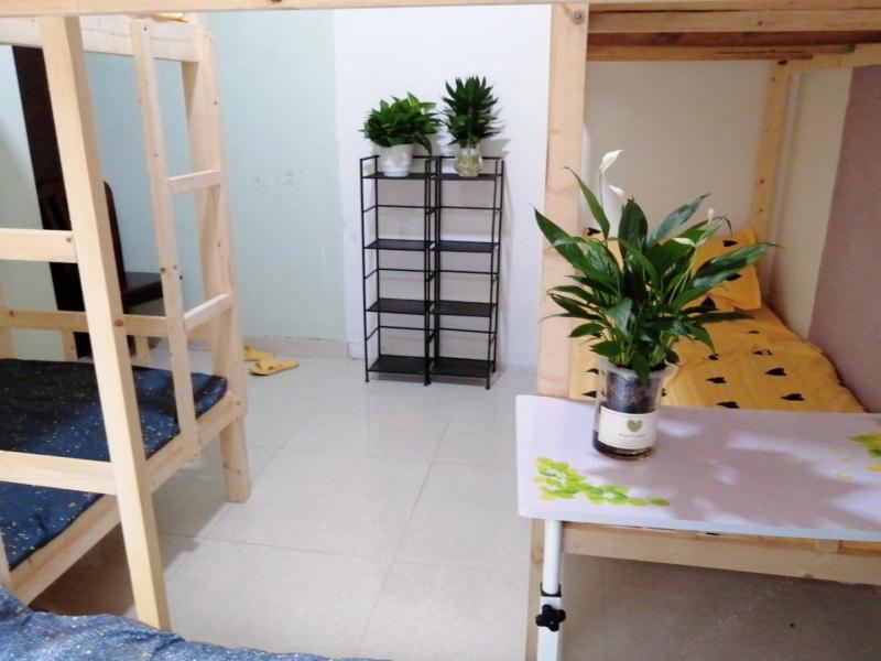 温馨六人间(床位)