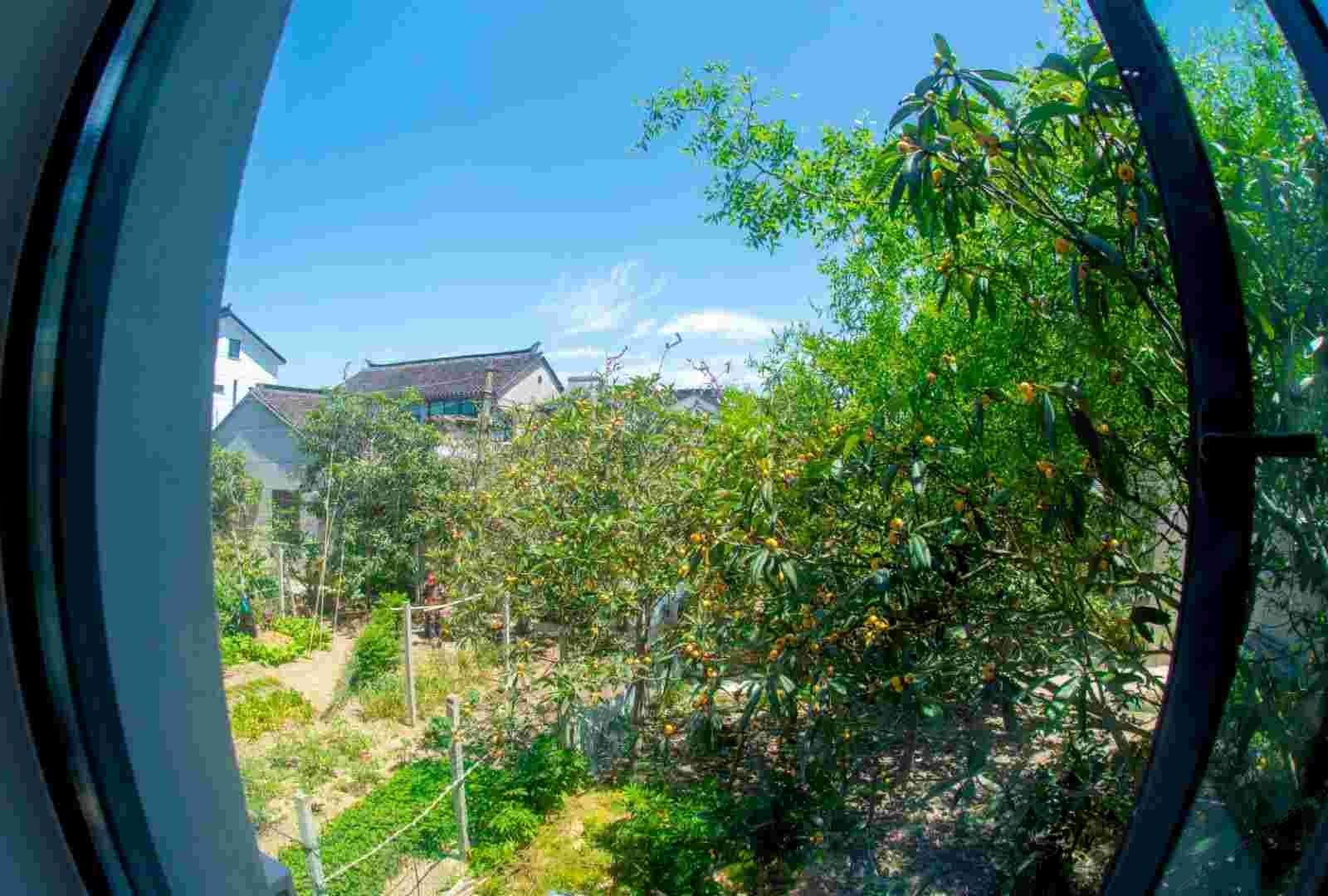 消夏
