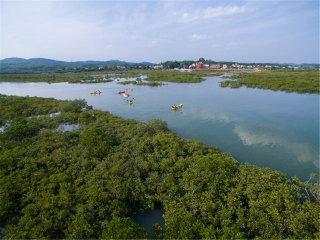旅游南宁-德天跟团_南宁-德天旅行团旅游_春节跟团南宁-德天旅游