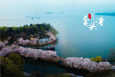 <上海迪士尼-华东五市-乌镇西栅-苏州园林双动6日游>纯玩0购物,国际五星住宿,一晚邮轮主题酒店and乌镇客栈,60元高餐标,包船游览西湖,可升级迪士尼伴游