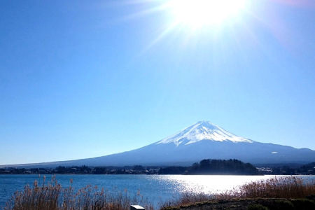 <日本东京1日游>摘水蜜桃体验、忍野八海、河口湖大石公园（当地参团，中文导游）