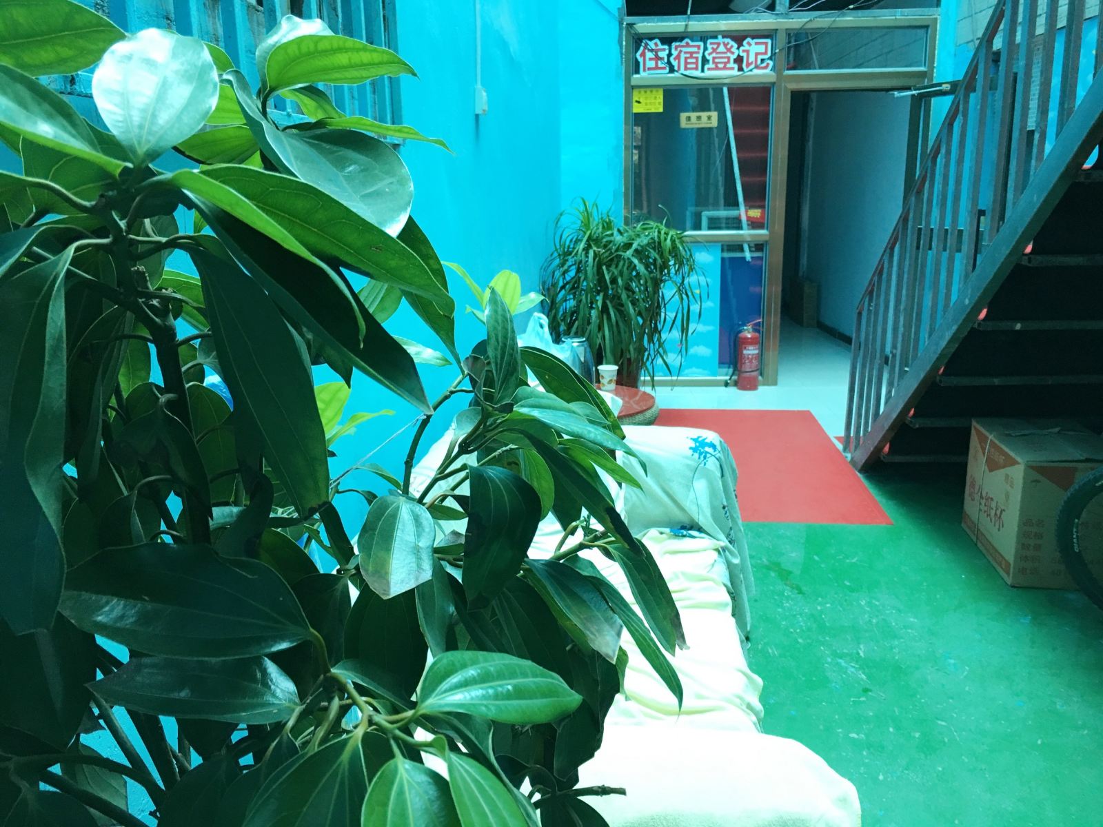 公共区域