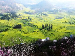 云南出境游_云南7日旅游报价_8月云南旅游