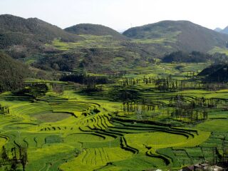 云南出境游_云南7日旅游报价_8月云南旅游