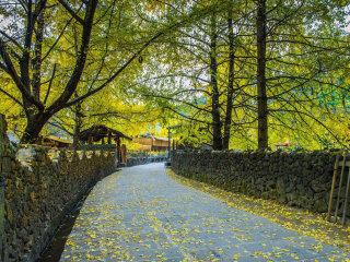 云南騰沖旅行跟團(tuán)_云南騰沖旅游跟團(tuán)多少錢_云南騰沖游花多少錢