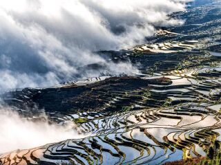 云南元陽梯田旅游組團(tuán)_云南元陽梯田自由行組團(tuán)_云南元陽梯田跟團(tuán)游與自由行