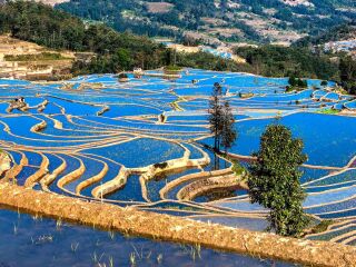 云南元陽梯田旅游組團(tuán)_云南元陽梯田自由行組團(tuán)_云南元陽梯田跟團(tuán)游與自由行