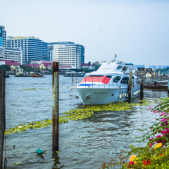 玛哈拉码头文青市集