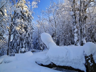亞布力雪鄉(xiāng)旅游報(bào)團(tuán)價(jià)格_亞布力雪鄉(xiāng)游特價(jià)團(tuán)_去亞布力雪鄉(xiāng)靠譜的旅行團(tuán)