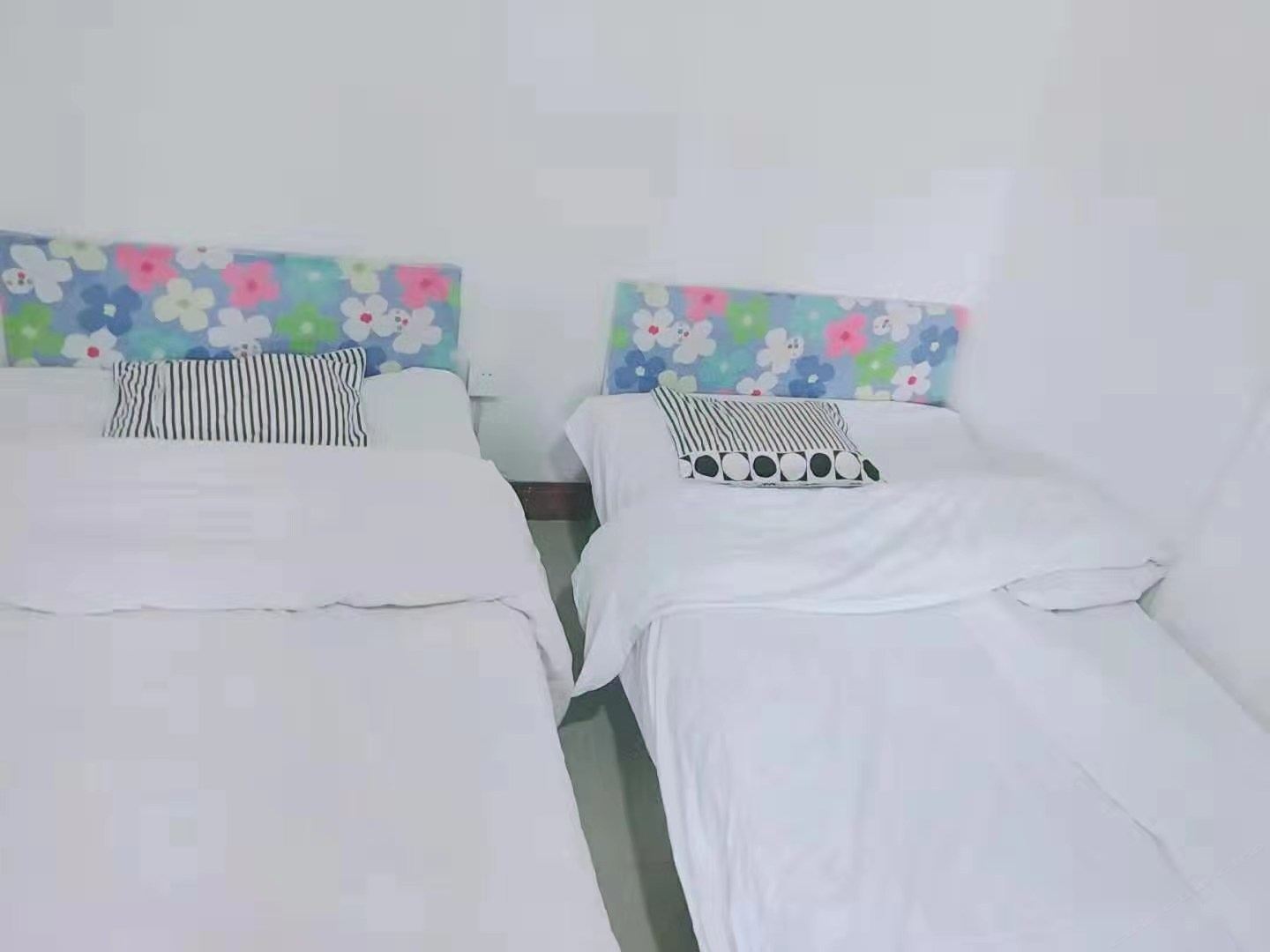 阳光三人间