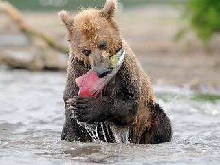 8纪念碑旅游景点介绍_20199288纪念碑简介_