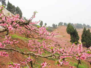 幾月去山西太原旅游最便宜_山西太原高端品質(zhì)旅游團(tuán)_去山西太原游要多少錢