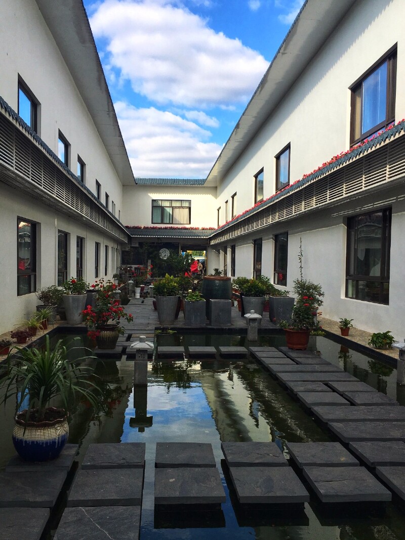 【首发】偷得浮生半日闲,带你玩转秋日崇明海上花岛