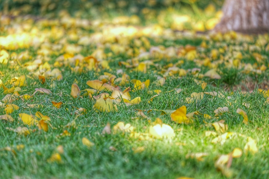 上北京旅游哪个季节(几月份)最好?