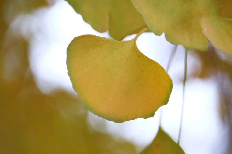 上北京旅游哪个季节(几月份)最好?