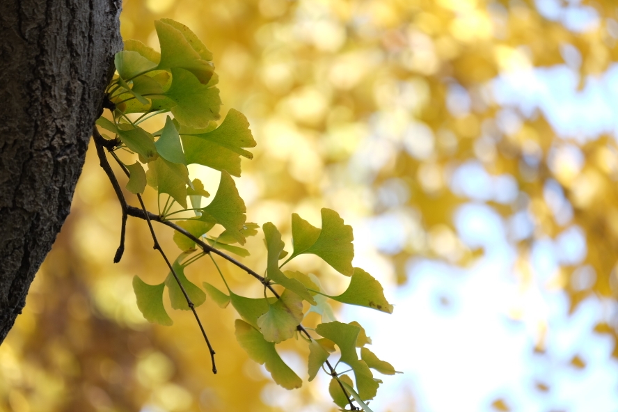 上北京旅游哪个季节(几月份)最好?