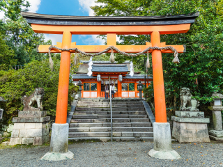 日本游十一天需要多少钱_年底去日本旅游_去日本旅游随团