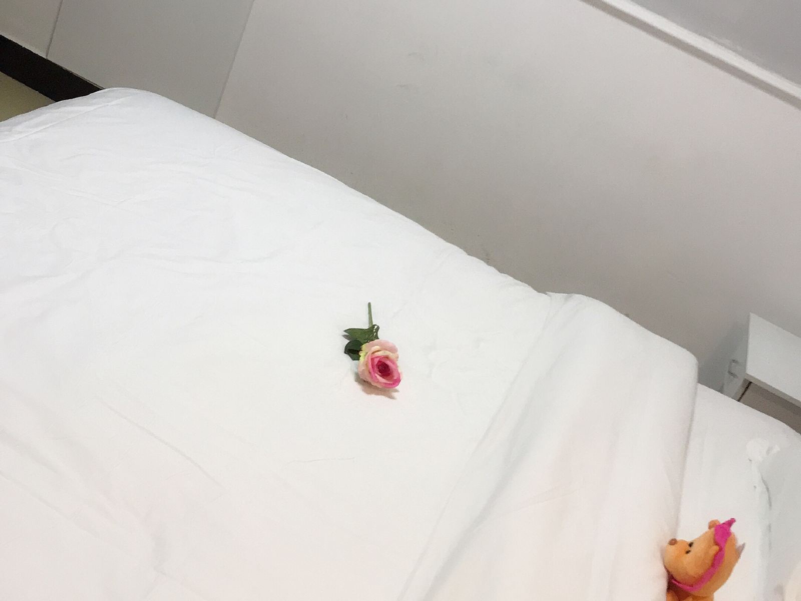 豪华大床房