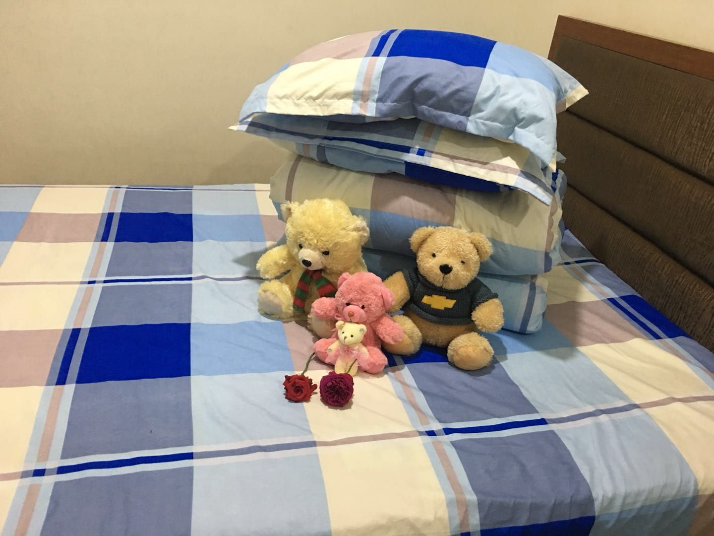 舒适大床房