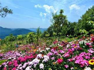 東北旅游多少錢_東北組團(tuán)旅游_東北報團(tuán)旅游多少錢
