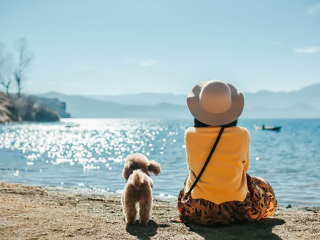 云南麗江旅游一次多少錢_去云南麗江旅游怎么走_云南麗江游花多少錢