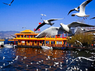 旅行團云南普者黑游_云南普者黑游價格_云南普者黑半自由行