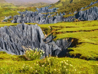 四川成都最佳旅游路線_四川成都游組團_2021去四川成都跟團多少錢