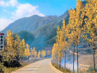 去云南麗江旅游多少錢_云南麗江旅游團(tuán)報(bào)價(jià)2021_東莞到云南麗江游