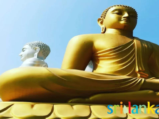 廣州斯里蘭卡旅游團(tuán)_斯里蘭卡自由行費(fèi)用_現(xiàn)在去斯里蘭卡旅游多少錢