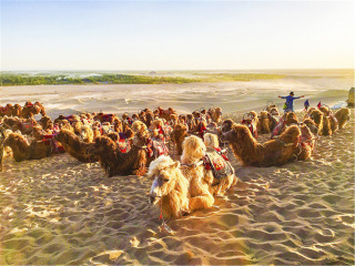 嘉峪關(guān)旅游要多少錢跟團(tuán)_嘉峪關(guān)旅游花多少錢_2021去嘉峪關(guān)跟團(tuán)多少錢