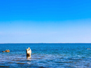 深圳到青海十日游_青海游线路_青海游跟团费用