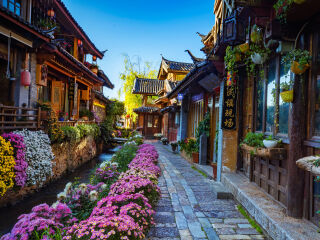 2021年云南西雙版納旅游團報價_以往國慶云南西雙版納游價格_去云南西雙版納旅游怎么走