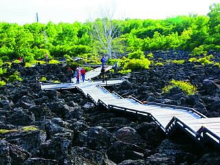 去呼伦贝尔游跟团_去呼伦贝尔旅行7天_几月去呼伦贝尔旅游最便宜