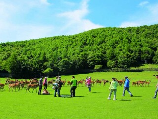 去呼伦贝尔游跟团_去呼伦贝尔旅行7天_几月去呼伦贝尔旅游最便宜