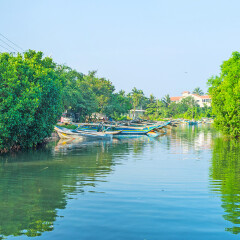 景点模块 