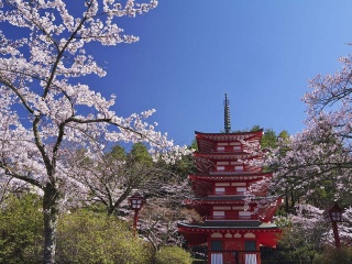 日本東京旅游要多少錢(qián)2021_日本東京旅游報(bào)價(jià)_怎么去日本東京旅游
