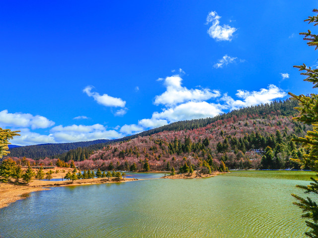 花园 石林 玉龙雪山 360环洱海(理想邦 海景房 旅拍)虎跳峡 普达措