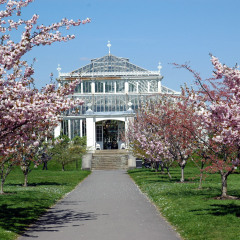 Victorian Greenhouse, Kew Gardens, England