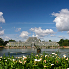 Kew Gardens glasshouse and lake, London