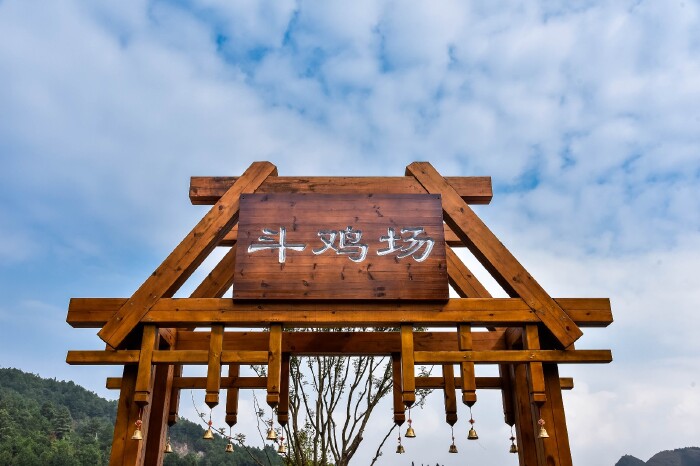 这是有名的斗鸡场,在这里每天可以观看一场精彩的斗鸡表演.