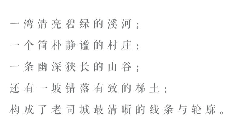 小汤穿过树林曲谱_小树林(3)